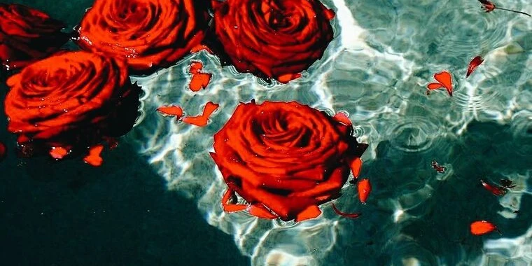 creator header picture