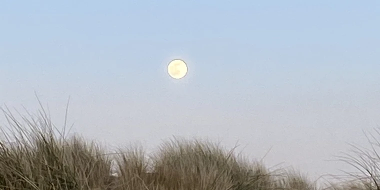 creator header picture