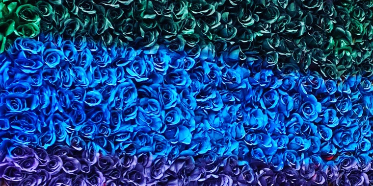 creator header picture