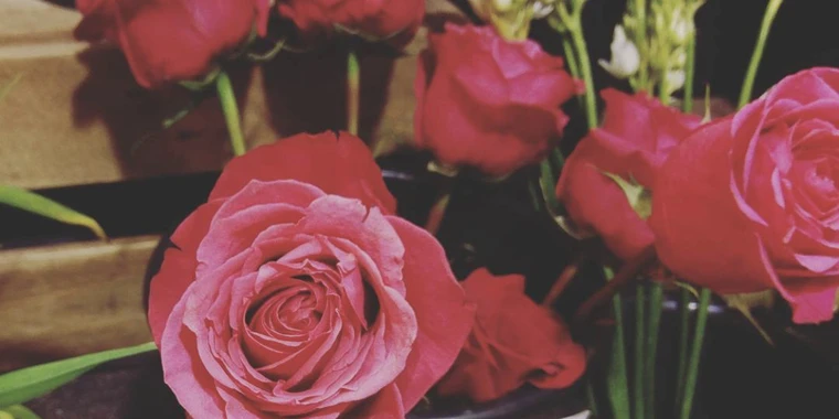 creator header picture