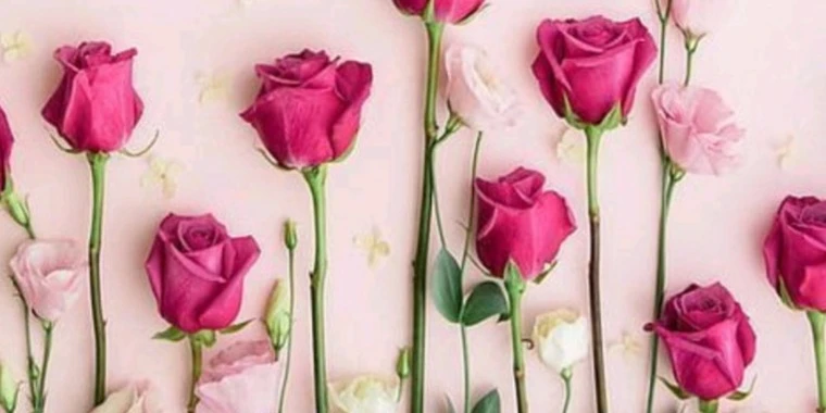 creator header picture