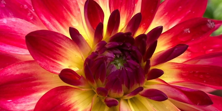 creator header picture