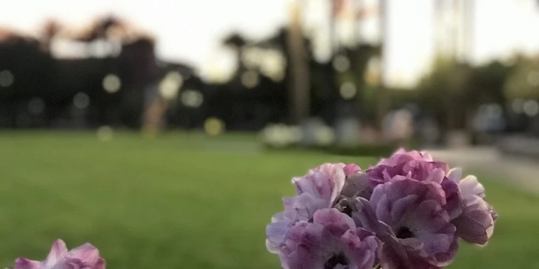 creator header picture