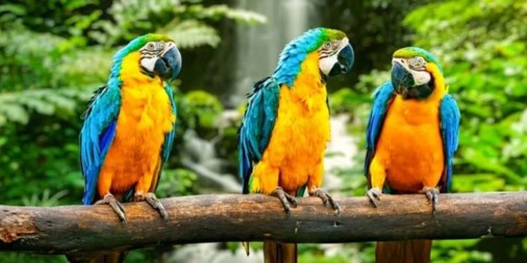 creator header picture