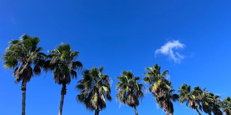 creator header picture