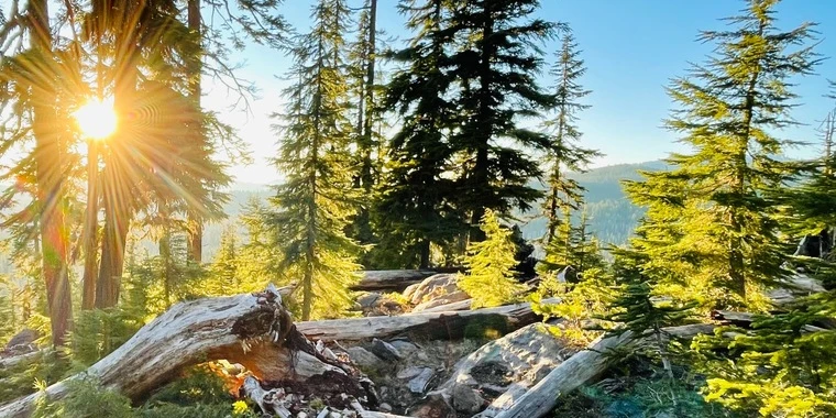 creator header picture