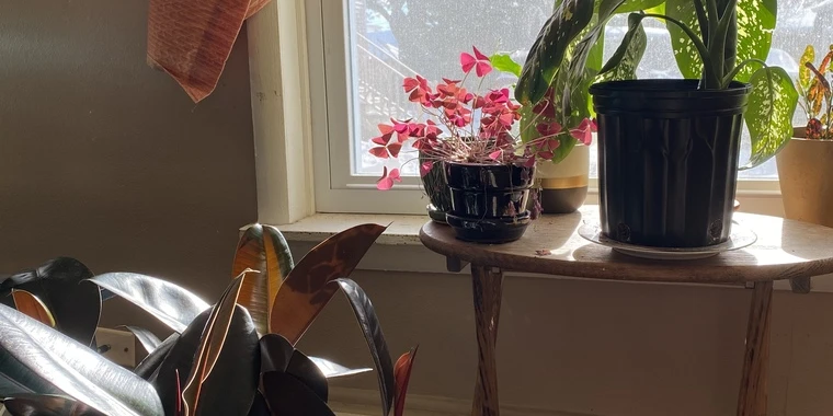 creator header picture