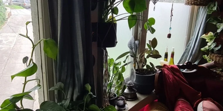 creator header picture