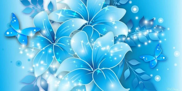 creator header picture