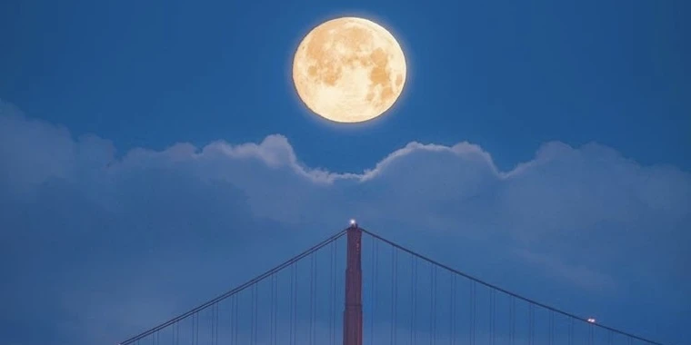 creator header picture