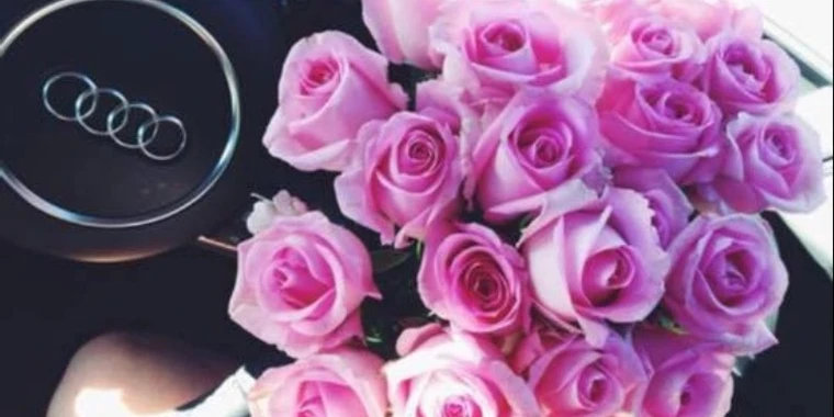 creator header picture