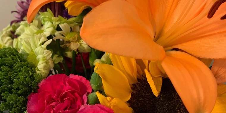 creator header picture