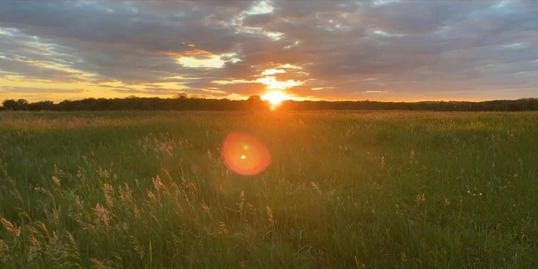 creator header picture