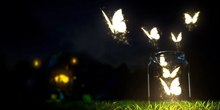 creator header picture