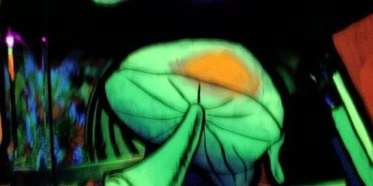 creator header picture