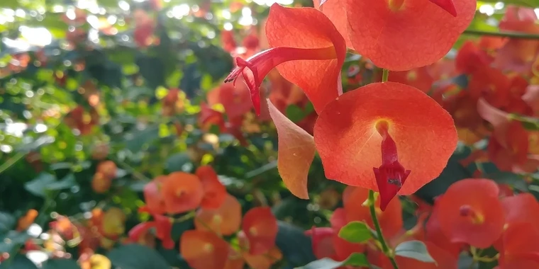 creator header picture