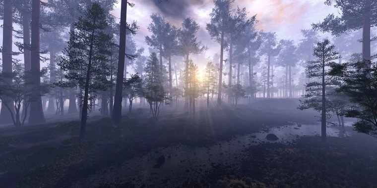 creator header picture
