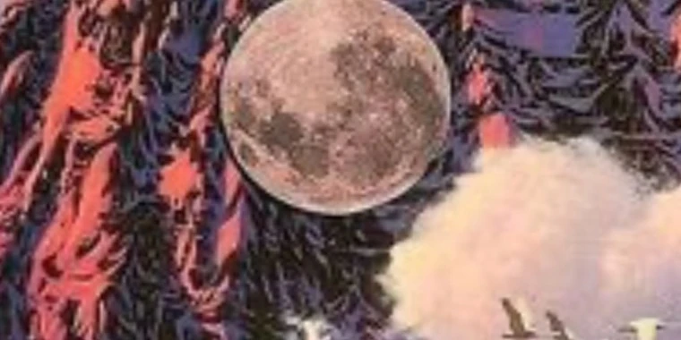 creator header picture
