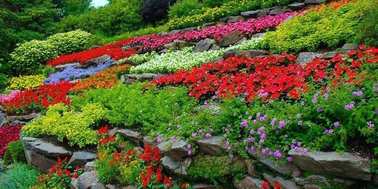 creator header picture