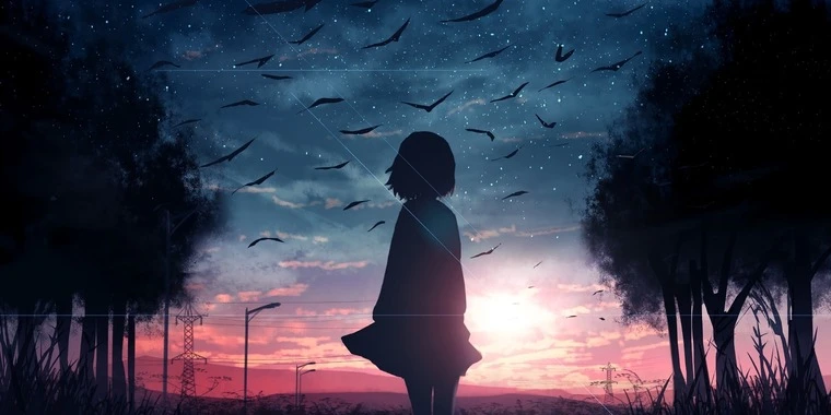 creator header picture
