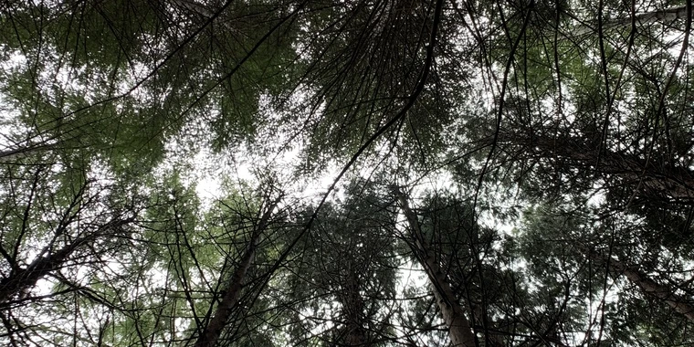 creator header picture