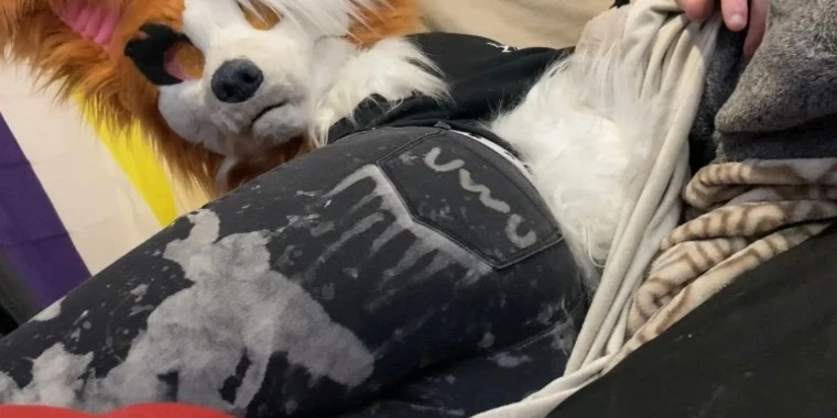 creator header picture