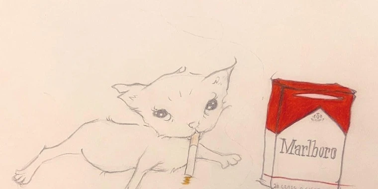 creator header picture