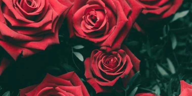 creator header picture