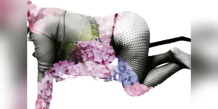 creator header picture