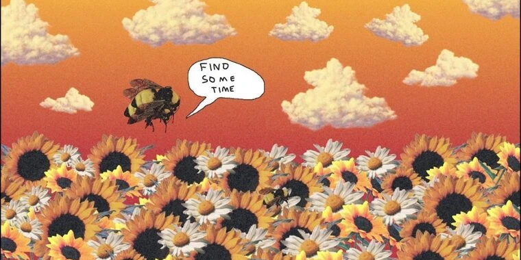 creator header picture