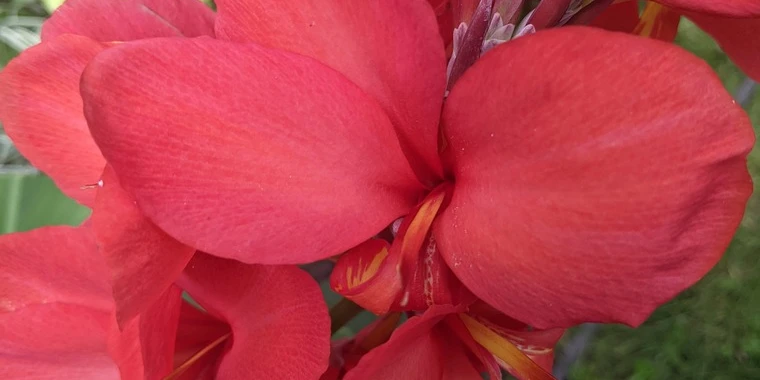 creator header picture
