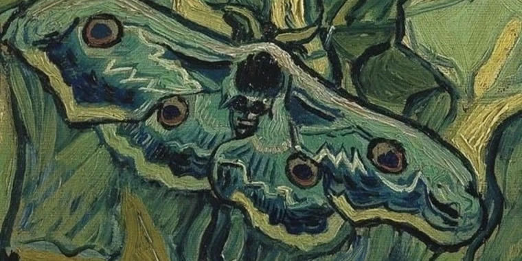 creator header picture