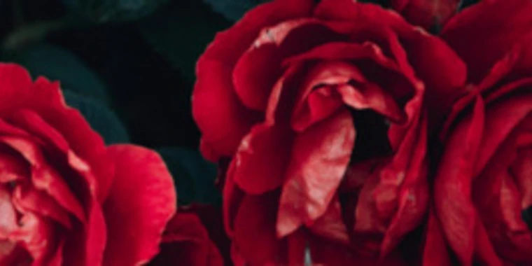 creator header picture