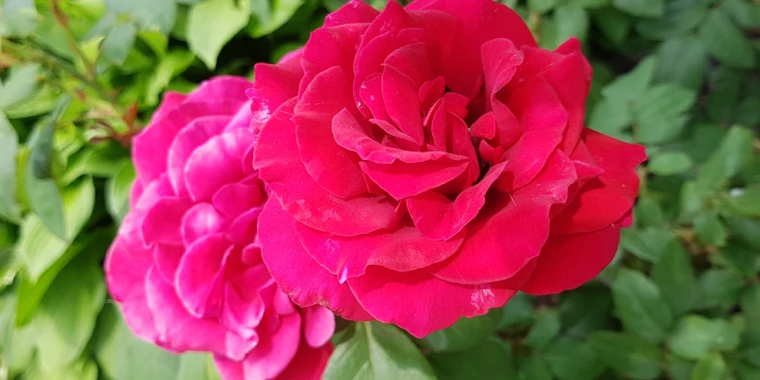 creator header picture