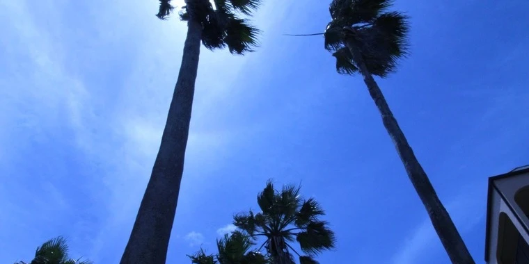 creator header picture