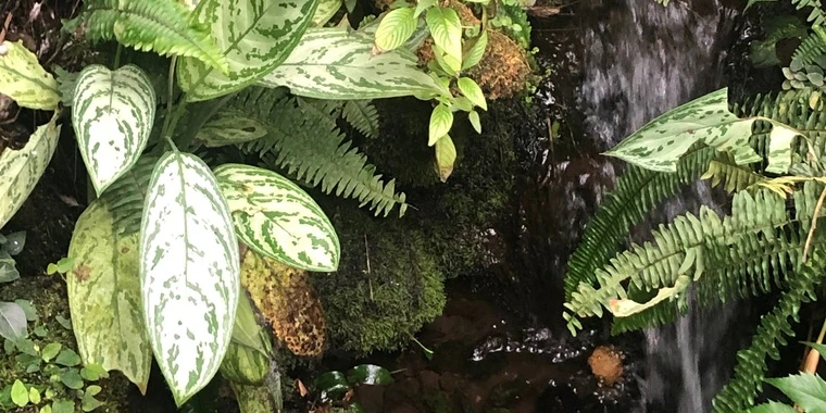 creator header picture