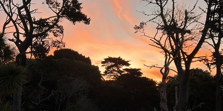 creator header picture