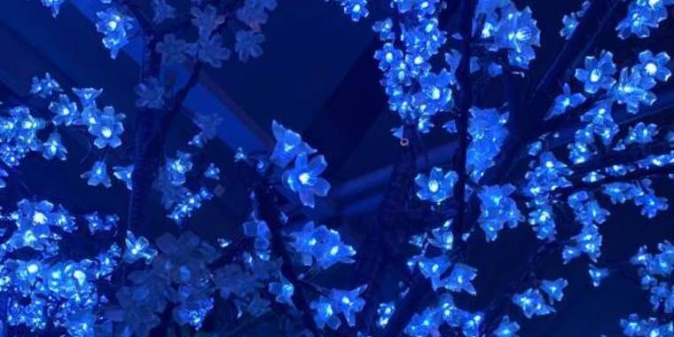 creator header picture