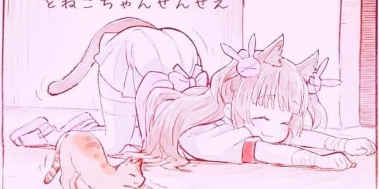 creator header picture