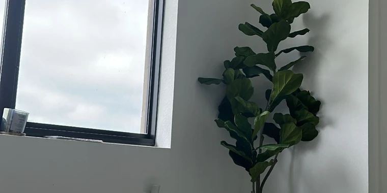 creator header picture