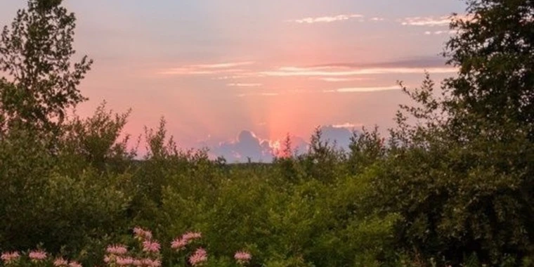 creator header picture
