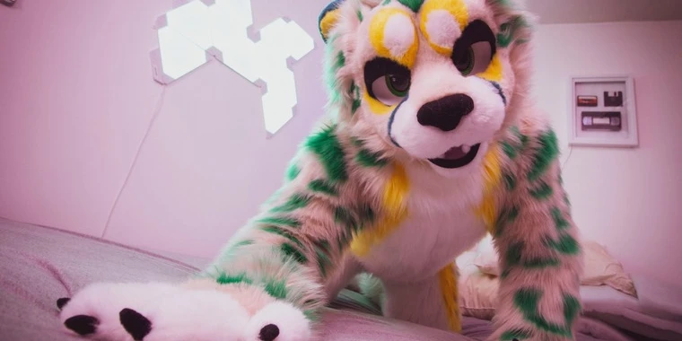 creator header picture