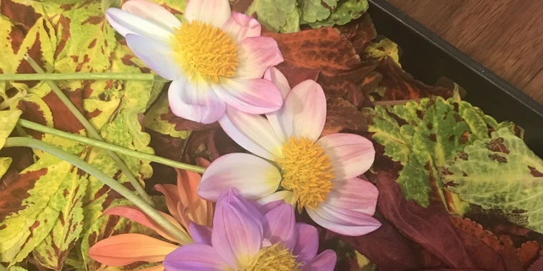 creator header picture