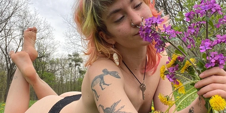 creator header picture