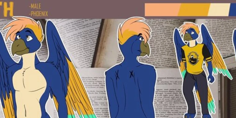 creator header picture