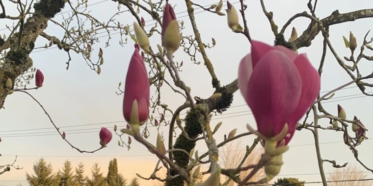 creator header picture