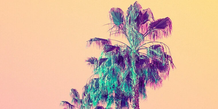 creator header picture