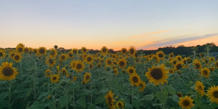 creator header picture