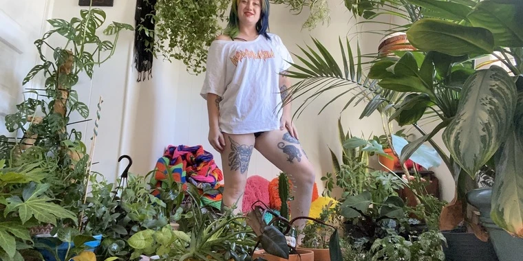 creator header picture