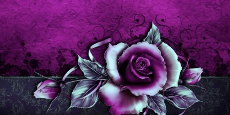 creator header picture
